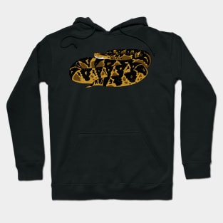 Bushmaster Snake Hoodie